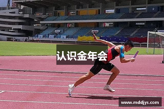 认识金年会
